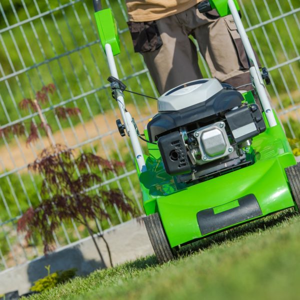 Mowing the Lawn with a Professional Grass Cutter