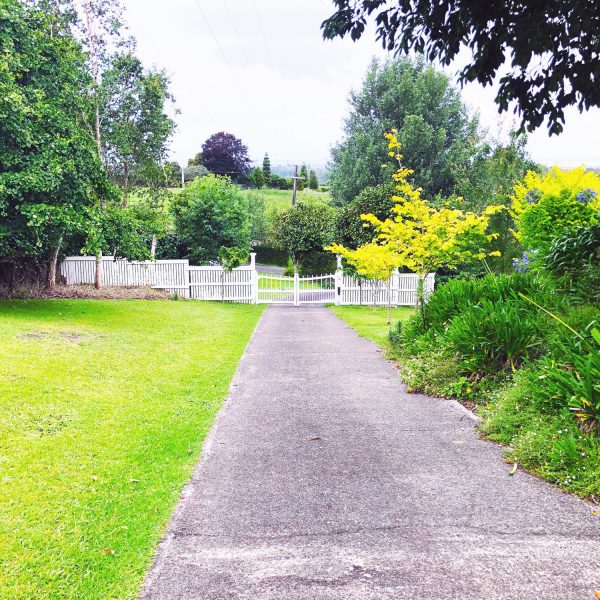 Property gate and driveway